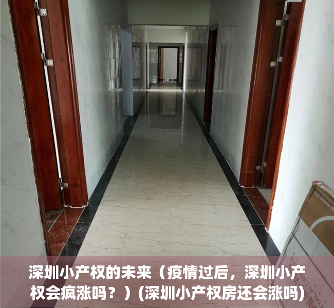 深圳小产权的未来（疫情过后，深圳小产权会疯涨吗？）(深圳小产权房还会涨吗)