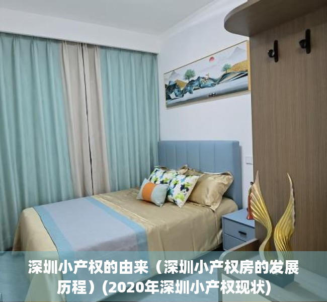 深圳小产权的由来（深圳小产权房的发展历程）(2020年深圳小产权现状)