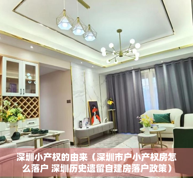 深圳小产权的由来（深圳市户小产权房怎么落户 深圳历史遗留自建房落户政策）