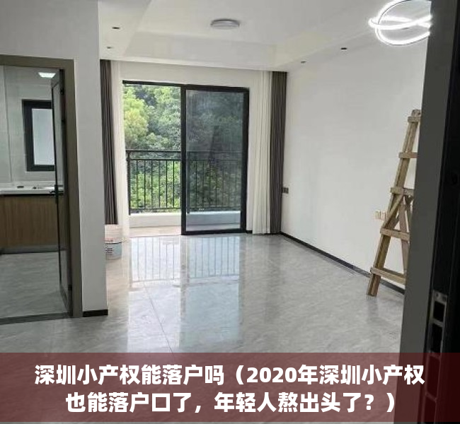深圳小产权能落户吗（2020年深圳小产权也能落户口了，年轻人熬出头了？）