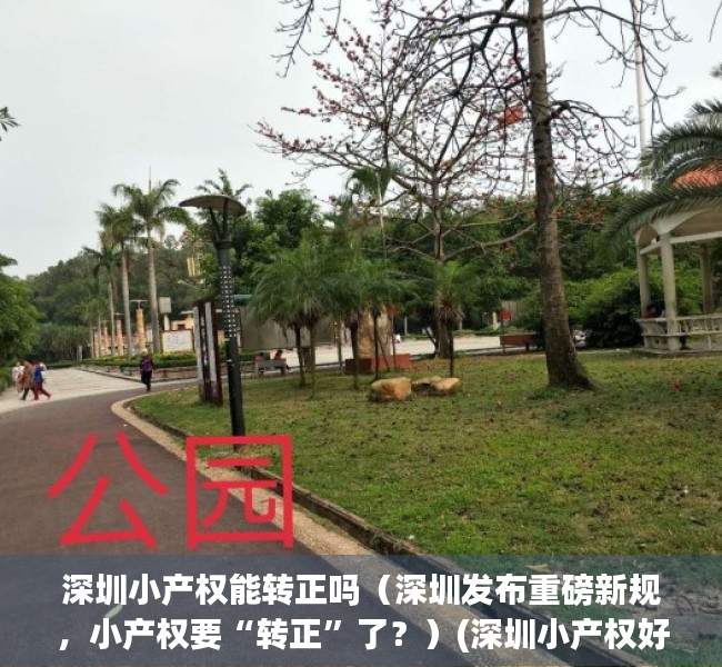 深圳小产权能转正吗（深圳发布重磅新规，小产权要“转正”了？）(深圳小产权好转手吗)