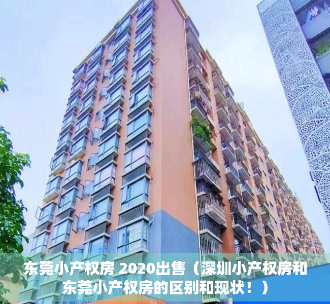 东莞小产权房 2020出售（深圳小产权房和东莞小产权房的区别和现状！）