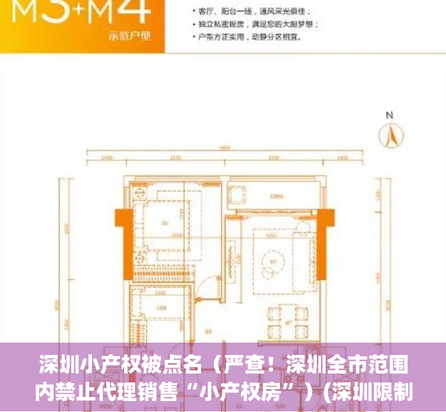 深圳小产权被点名（严查！深圳全市范围内禁止代理销售“小产权房”）(深圳限制小产权房交易)