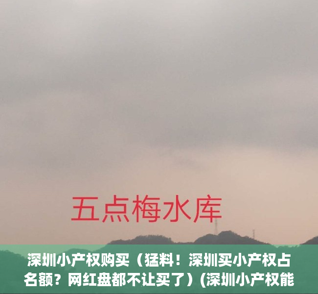深圳小产权购买（猛料！深圳买小产权占名额？网红盘都不让买了）(深圳小产权能买吗)