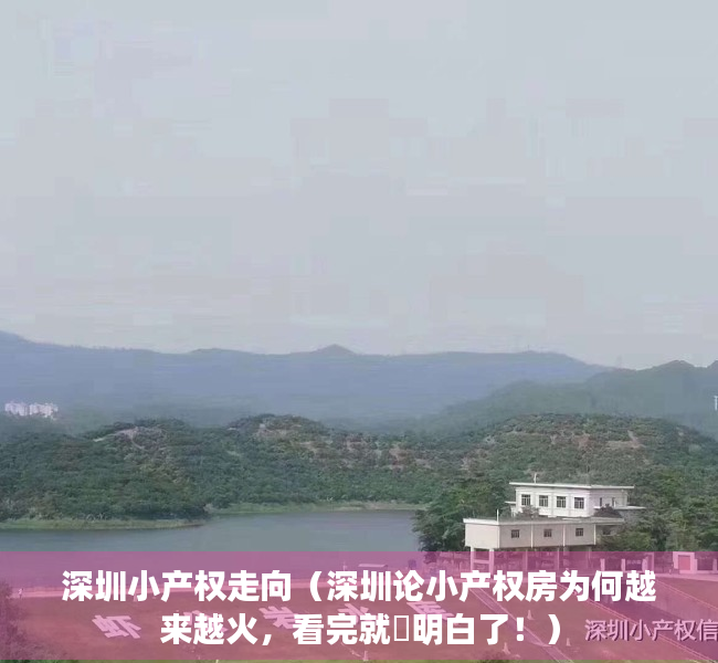 深圳小产权走向（深圳论小产权房为何越来越火，看完就​明白了！）