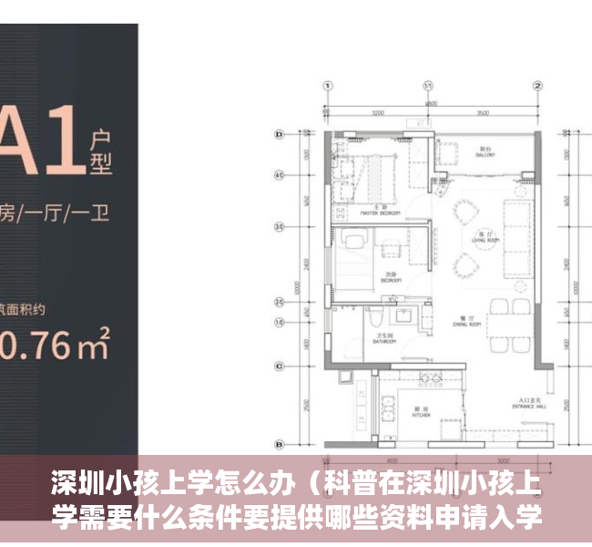 深圳小孩上学怎么办（科普在深圳小孩上学需要什么条件要提供哪些资料申请入学流程有哪些？各区入学积分表及积分规则）