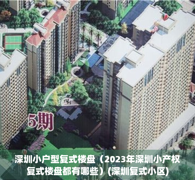 深圳小户型复式楼盘（2023年深圳小产权复式楼盘都有哪些）(深圳复式小区)