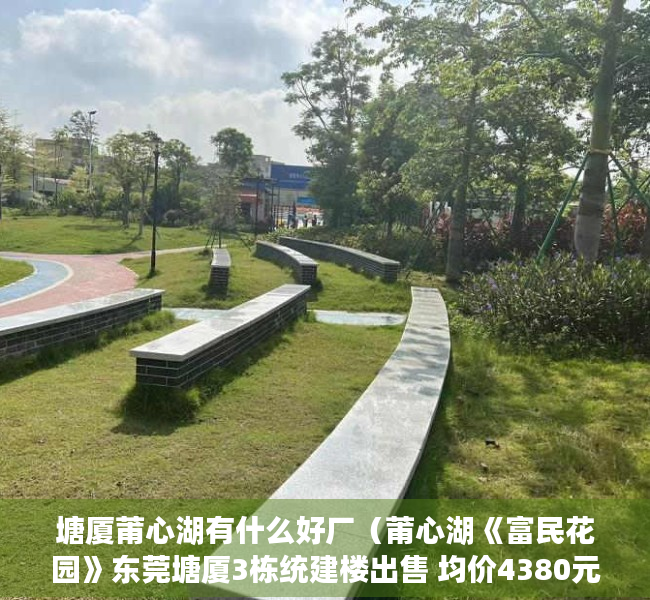 塘厦莆心湖有什么好厂（莆心湖《富民花园》东莞塘厦3栋统建楼出售 均价4380元起）