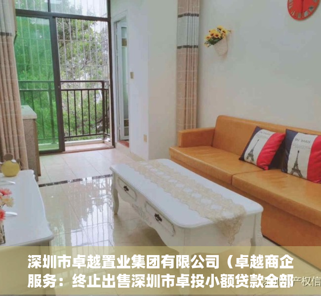 深圳市卓越置业集团有限公司（卓越商企服务：终止出售深圳市卓投小额贷款全部股权）