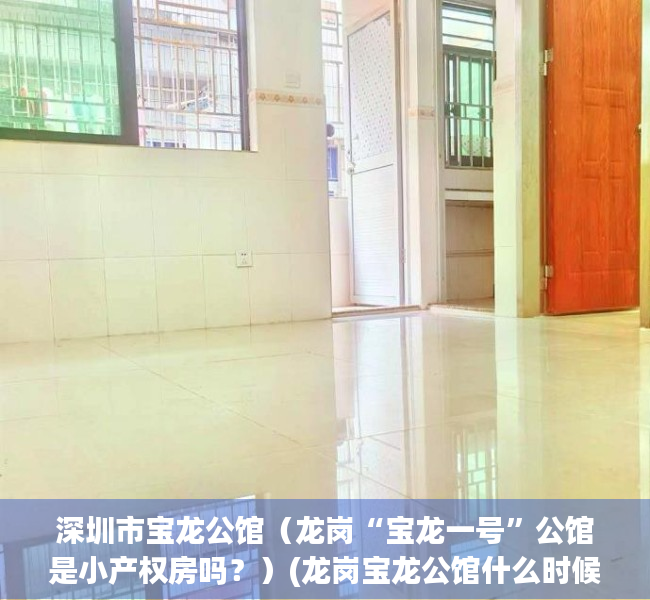 深圳市宝龙公馆（龙岗“宝龙一号”公馆是小产权房吗？）(龙岗宝龙公馆什么时候交房)