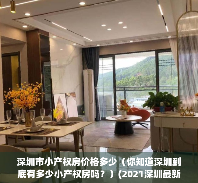 深圳市小产权房价格多少（你知道深圳到底有多少小产权房吗？）(2021深圳最新小产权房)