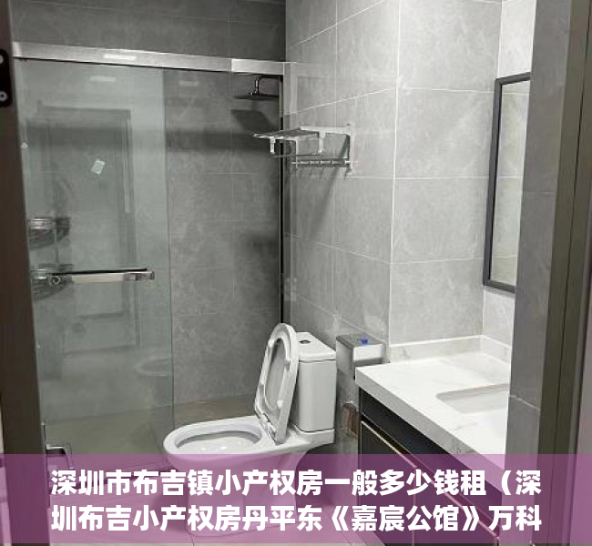 深圳市布吉镇小产权房一般多少钱租（深圳布吉小产权房丹平东《嘉宸公馆》万科集团旧改规划中 3号线丹竹头地铁口 直达平湖福田罗湖南山 布吉高级中学，沙湾中学，沙西小学）