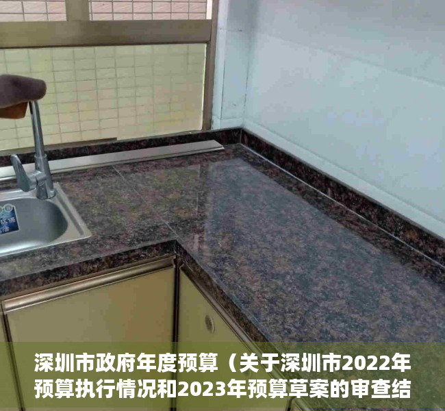 深圳市政府年度预算（关于深圳市2022年预算执行情况和2023年预算草案的审查结果报告）