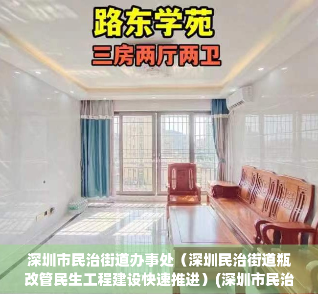 深圳市民治街道办事处（深圳民治街道瓶改管民生工程建设快速推进）(深圳市民治街道电话)