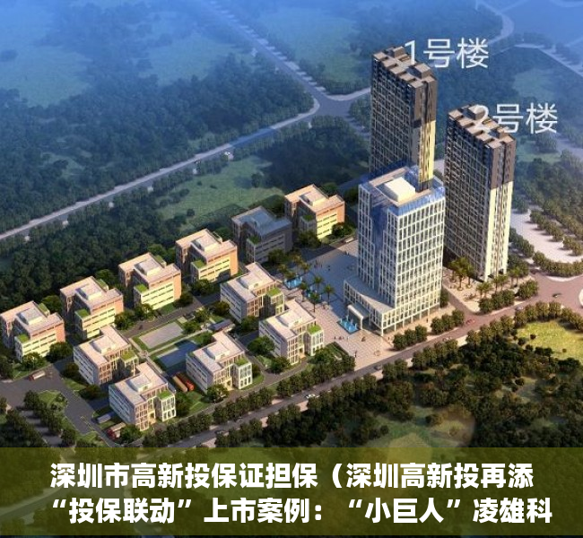 深圳市高新投保证担保（深圳高新投再添“投保联动”上市案例：“小巨人”凌雄科技今日登陆港交所主板）