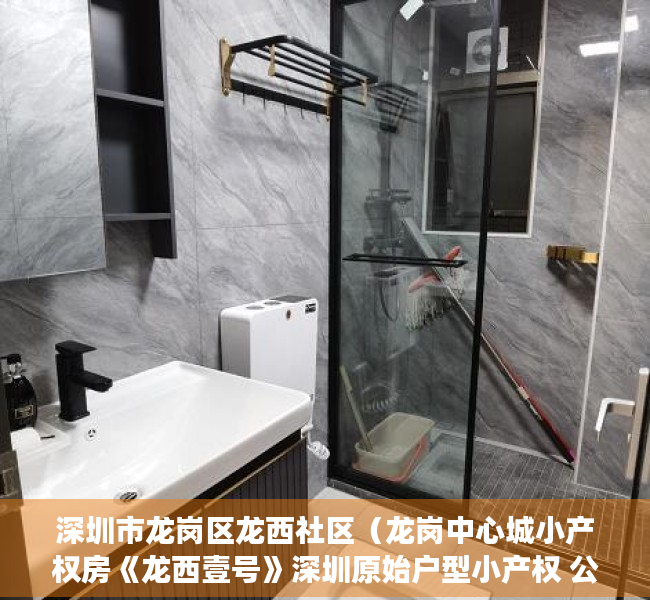 深圳市龙岗区龙西社区（龙岗中心城小产权房《龙西壹号》深圳原始户型小产权 公园为邻 带停车场 总价898万起，龙西小学兰著百年名校宝能实验学校五联小学）