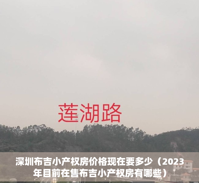 深圳布吉小产权房价格现在要多少（2023年目前在售布吉小产权房有哪些）