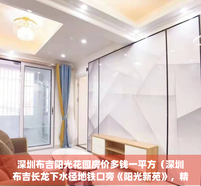 深圳布吉阳光花园房价多钱一平方（深圳布吉长龙下水径地铁口旁《阳光新苑》，精装电梯房）