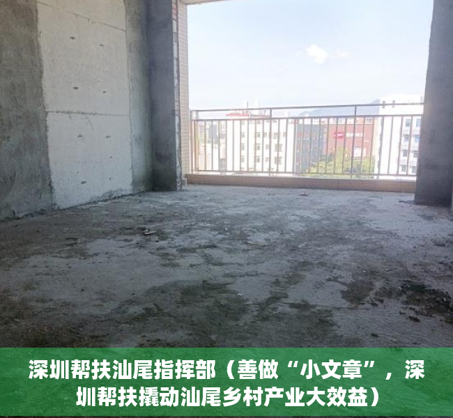 深圳帮扶汕尾指挥部（善做“小文章”，深圳帮扶撬动汕尾乡村产业大效益）