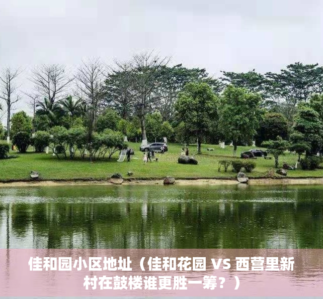 佳和园小区地址（佳和花园 VS 西营里新村在鼓楼谁更胜一筹？）