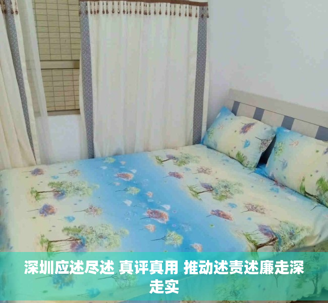 深圳应述尽述 真评真用 推动述责述廉走深走实