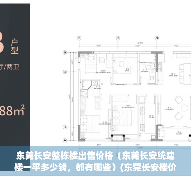 东莞长安整栋楼出售价格（东莞长安统建楼一平多少钱，都有哪些）(东莞长安楼价怎么样)