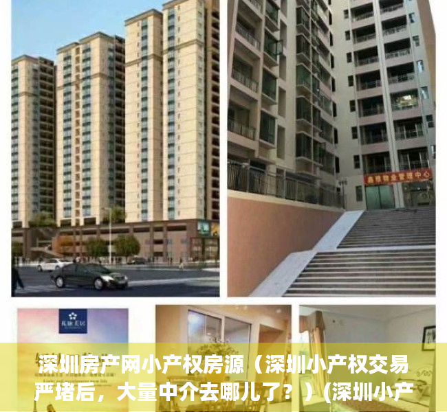 深圳房产网小产权房源（深圳小产权交易严堵后，大量中介去哪儿了？）(深圳小产权房交易火爆)