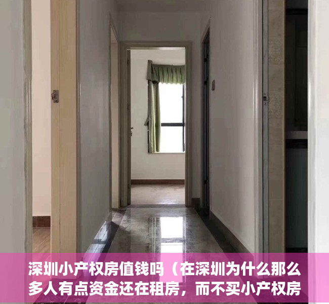 深圳小产权房值钱吗（在深圳为什么那么多人有点资金还在租房，而不买小产权房呢？）