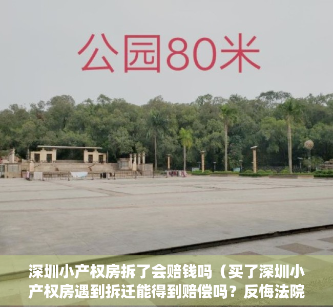 深圳小产权房拆了会赔钱吗（买了深圳小产权房遇到拆迁能得到赔偿吗？反悔法院判决给受让方）