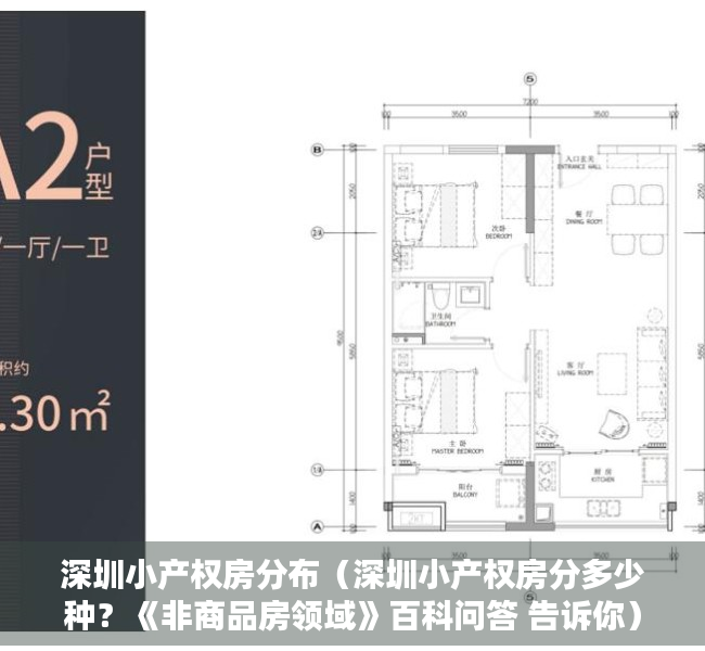 深圳小产权房分布（深圳小产权房分多少种？《非商品房领域》百科问答 告诉你）