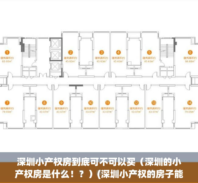 深圳小产权房到底可不可以买（深圳的小产权房是什么！？）(深圳小产权的房子能买吗,自己住有保障吗?)