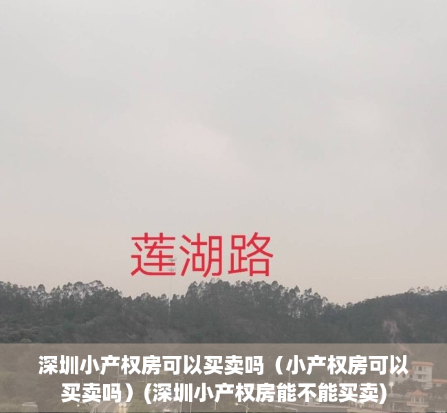 深圳小产权房可以买卖吗（小产权房可以买卖吗）(深圳小产权房能不能买卖)