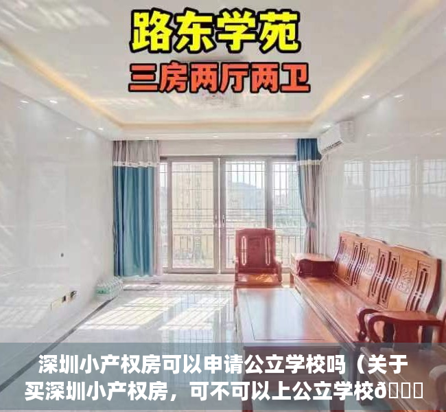 深圳小产权房可以申请公立学校吗（关于买深圳小产权房，可不可以上公立学校👇👇👇👇👇）