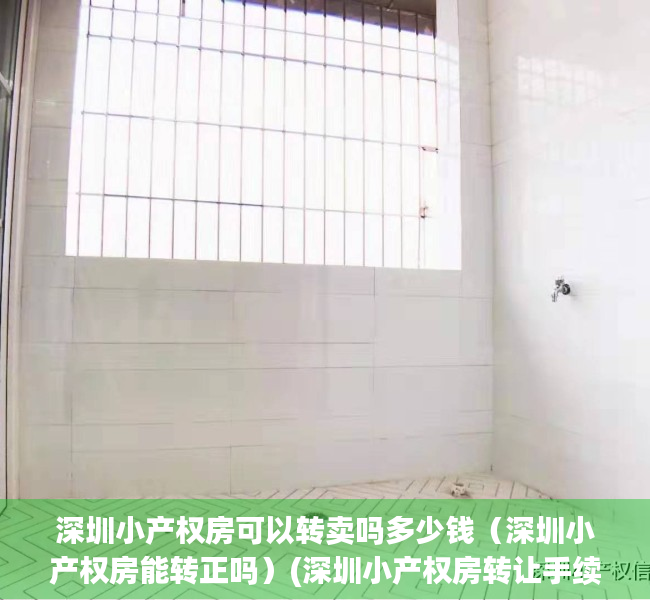 深圳小产权房可以转卖吗多少钱（深圳小产权房能转正吗）(深圳小产权房转让手续)