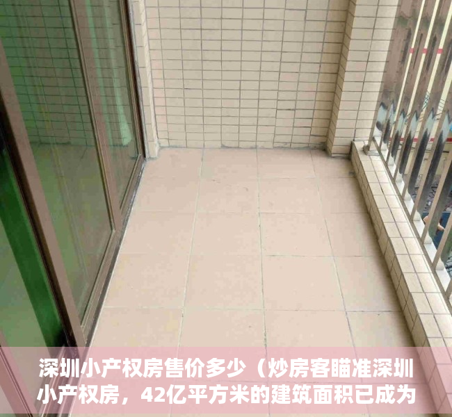 深圳小产权房售价多少（炒房客瞄准深圳小产权房，42亿平方米的建筑面积已成为其护身符）