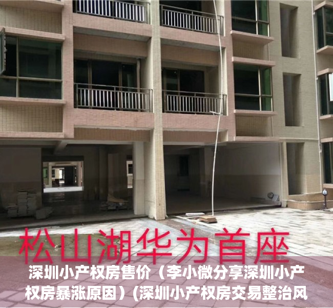 深圳小产权房售价（李小微分享深圳小产权房暴涨原因）(深圳小产权房交易整治风暴)