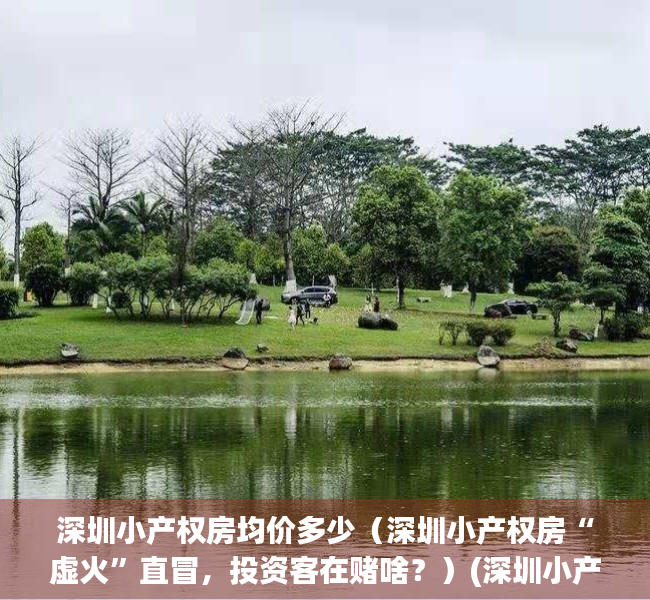 深圳小产权房均价多少（深圳小产权房“虚火”直冒，投资客在赌啥？）(深圳小产权房2020年出售信息)