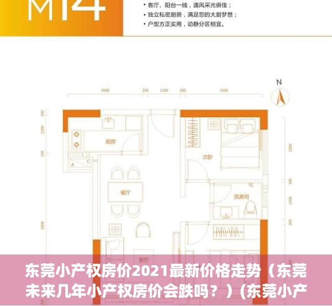 东莞小产权房价2021最新价格走势（东莞未来几年小产权房价会跌吗？）(东莞小产权房涨价太猛)