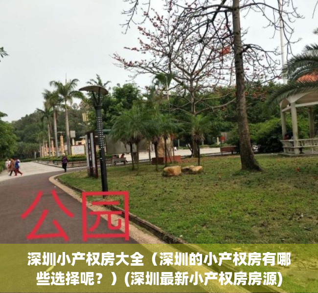 深圳小产权房大全（深圳的小产权房有哪些选择呢？）(深圳最新小产权房房源)