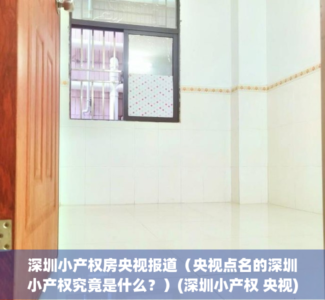 深圳小产权房央视报道（央视点名的深圳小产权究竟是什么？）(深圳小产权 央视)