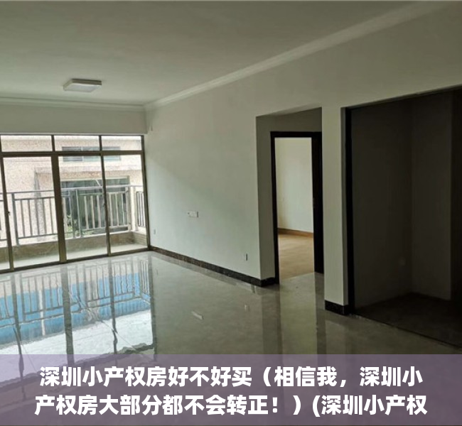 深圳小产权房好不好买（相信我，深圳小产权房大部分都不会转正！）(深圳小产权房何去何从)