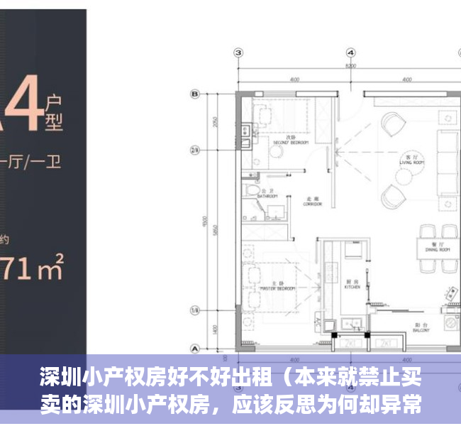 深圳小产权房好不好出租（本来就禁止买卖的深圳小产权房，应该反思为何却异常火爆！）