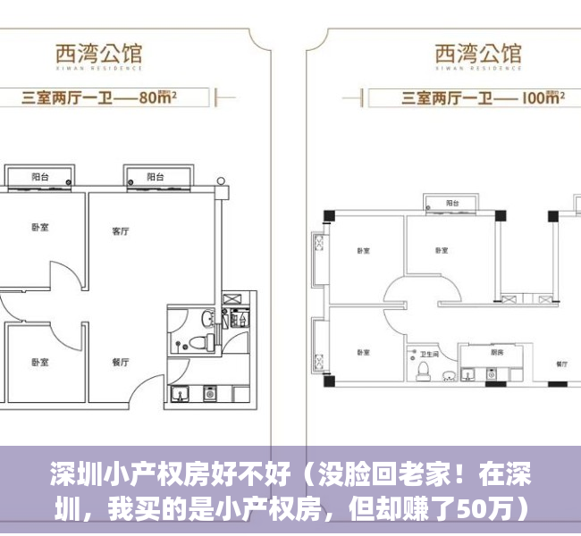 深圳小产权房好不好（没脸回老家！在深圳，我买的是小产权房，但却赚了50万）