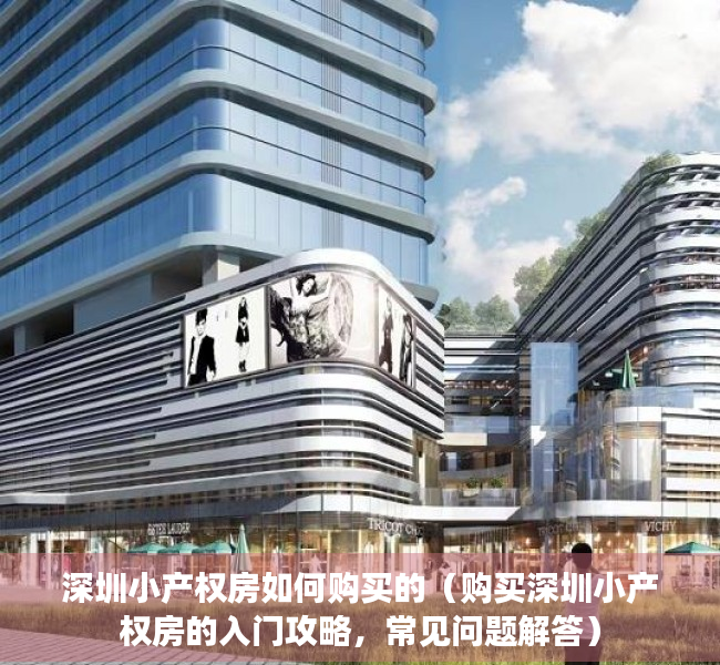 深圳小产权房如何购买的（购买深圳小产权房的入门攻略，常见问题解答）