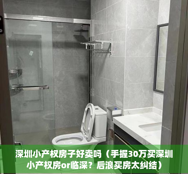 深圳小产权房子好卖吗（手握30万买深圳小产权房or临深？后浪买房太纠结）