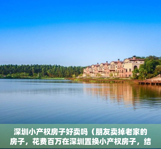 深圳小产权房子好卖吗（朋友卖掉老家的房子，花费百万在深圳置换小产权房子，结局如何？）