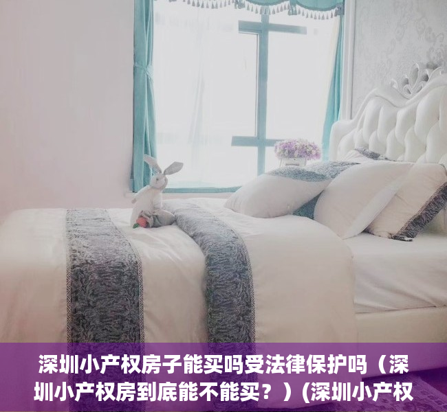 深圳小产权房子能买吗受法律保护吗（深圳小产权房到底能不能买？）(深圳小产权房子可以买吗)