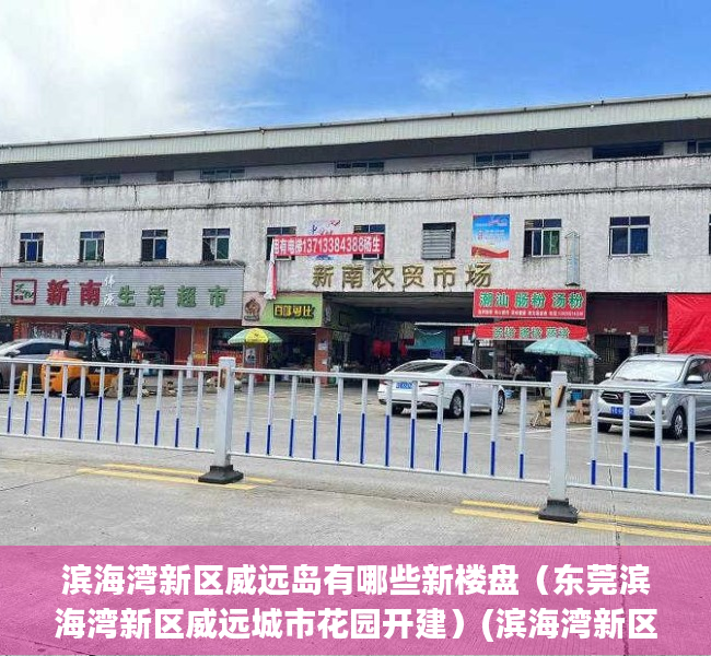 滨海湾新区威远岛有哪些新楼盘（东莞滨海湾新区威远城市花园开建）(滨海湾新区威远岛土地整备补偿方案内容)