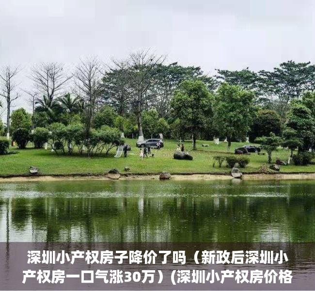 深圳小产权房子降价了吗（新政后深圳小产权房一口气涨30万）(深圳小产权房价格涨幅)