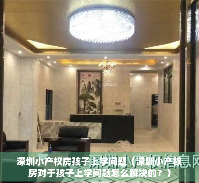 深圳小产权房孩子上学问题（深圳小产权房对于孩子上学问题怎么解决的？）